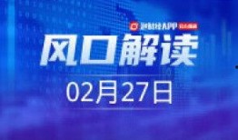 仙迪股份爆料新闻视频播放,揭秘公司内幕与行业动态